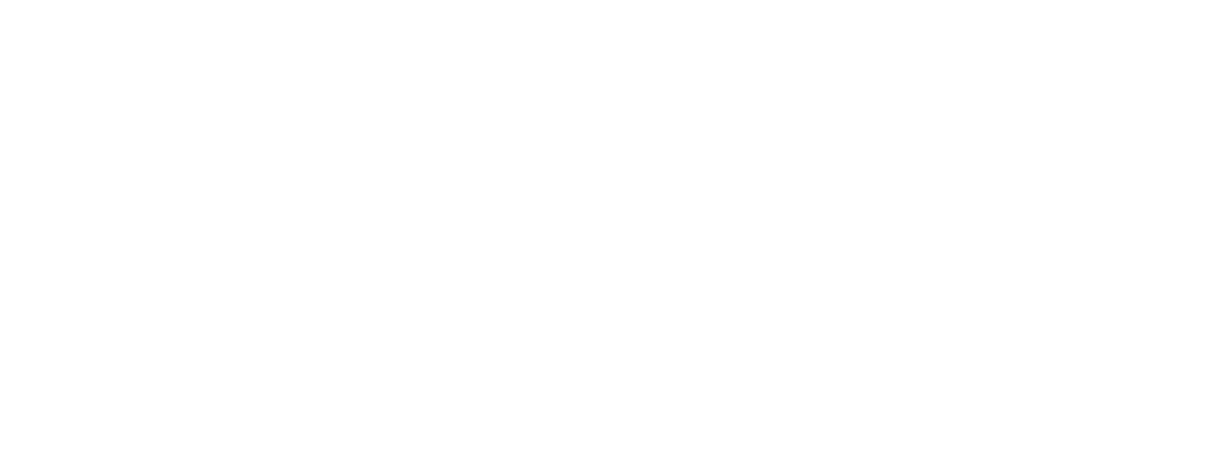 Domaine Türk Logo