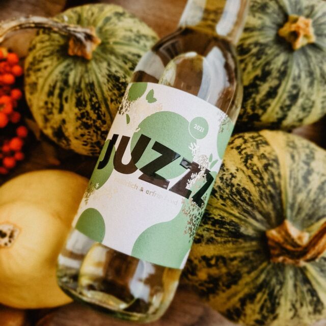 Wir wünschen dir einen wunderschönen Herbstbeginn!💚🍂
#autumn #fall #grapes #austria #chooseJUZZZ #juzzz #regional #winery #wine #drink #verjus #startup